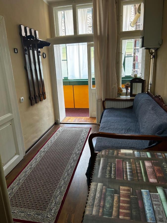 Dominic Studio Apartment Sibiu Exterior photo